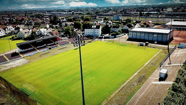 戈贝尔对此 戈贝尔对此