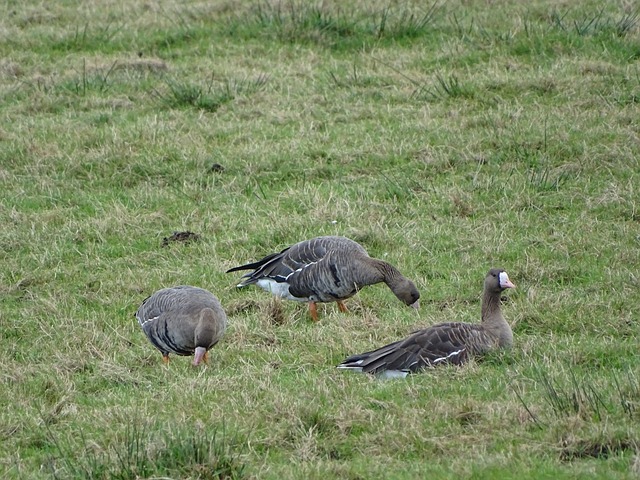 他们在美洲 他们在美洲