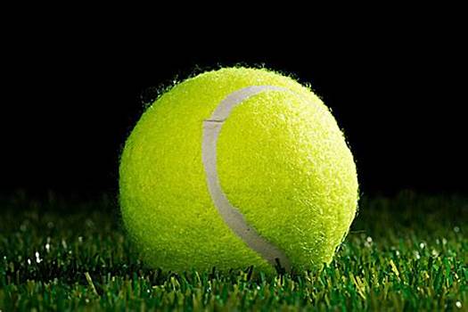 不可忽视的 不可忽视的