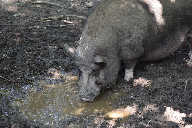 练的问题 练的问题