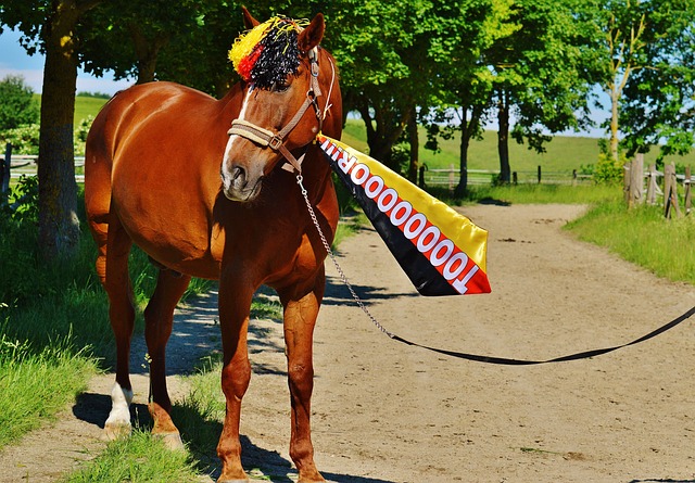權給隊友後 權給隊友後