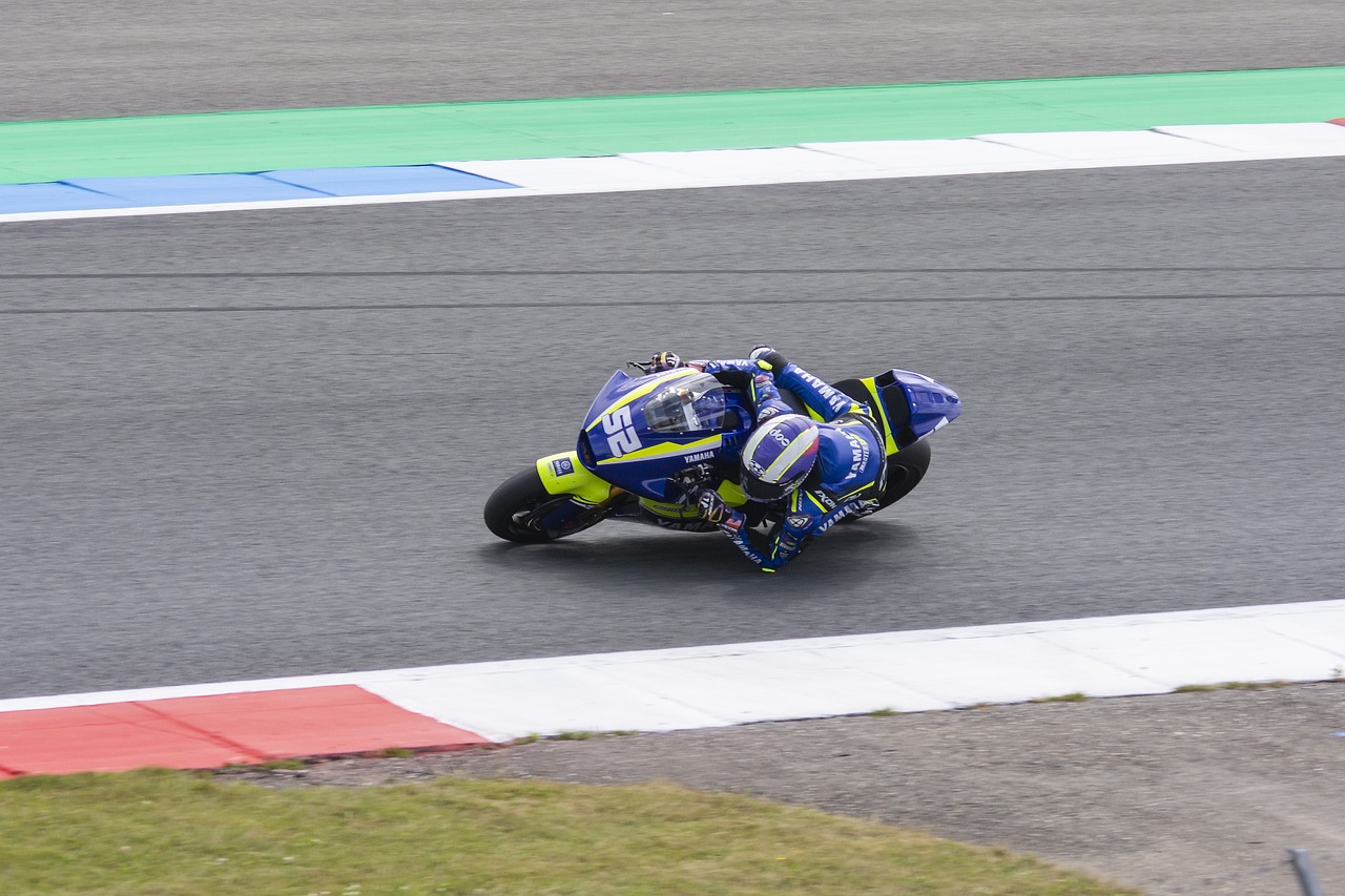 化的阵容来 化的阵容来